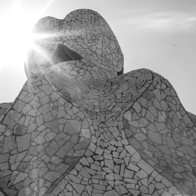 Roof Of Casa Mila 1