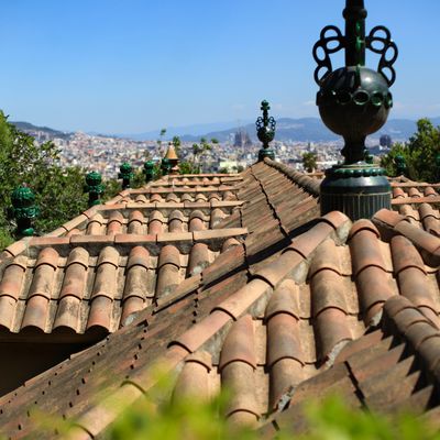 View From Rooftops