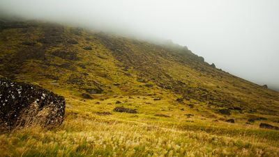 Roadside Fog