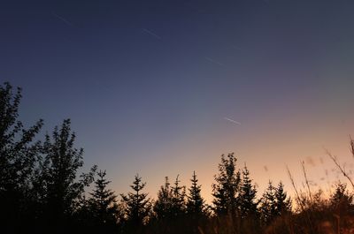 Star Trails