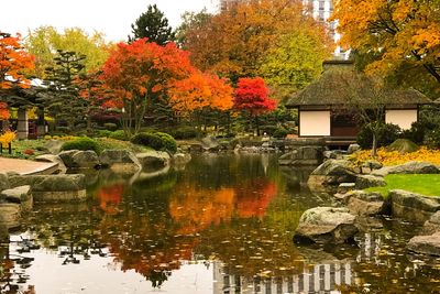 Autumnal Colours In Planten Un Blomen