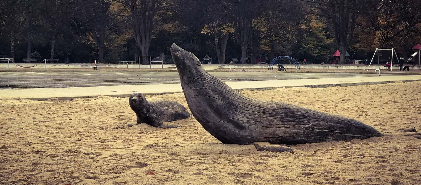 stadtpark-seals-beach