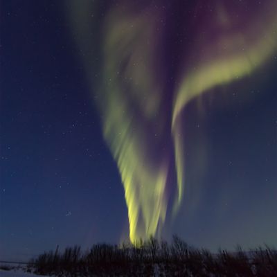 Aurora 1