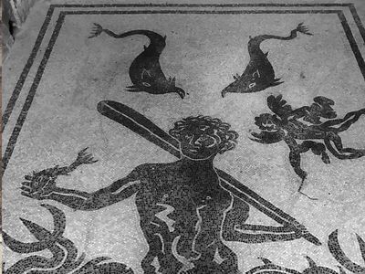 Herculaneum Bath House Floor