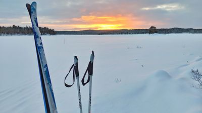 Cross Country Skiing