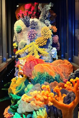 The national museum coral
