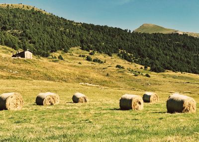 Andorra Hike Hay Bales